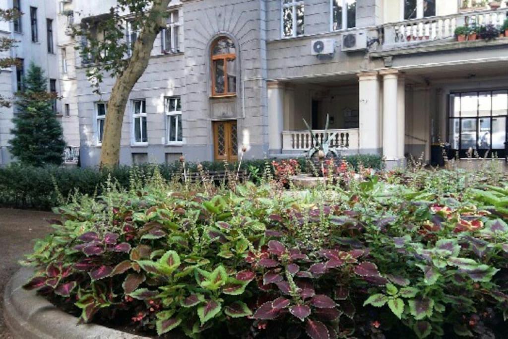 Gorgeous Flat Right Near The City Center Budapest Exterior photo